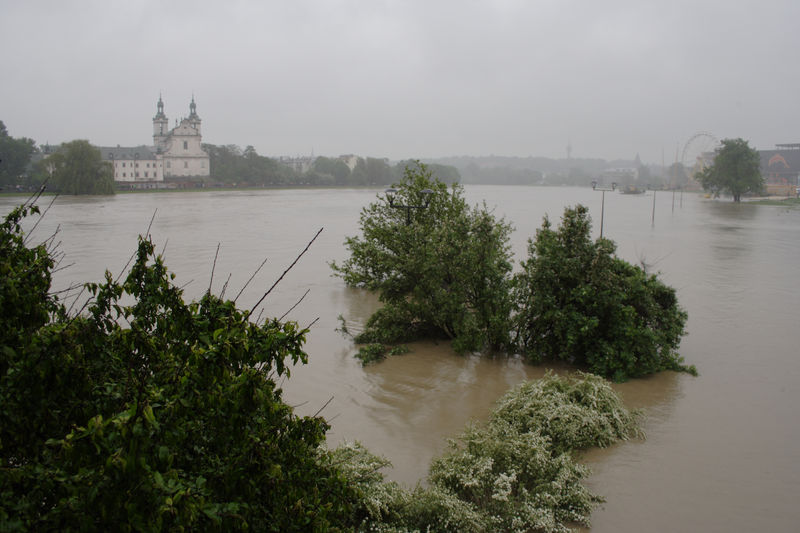 spis.php?category_id=432