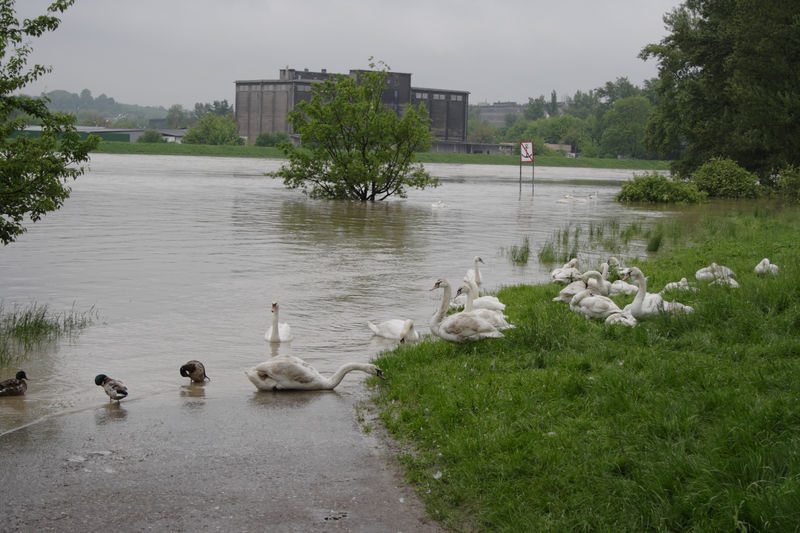 spis.php?category_id=432