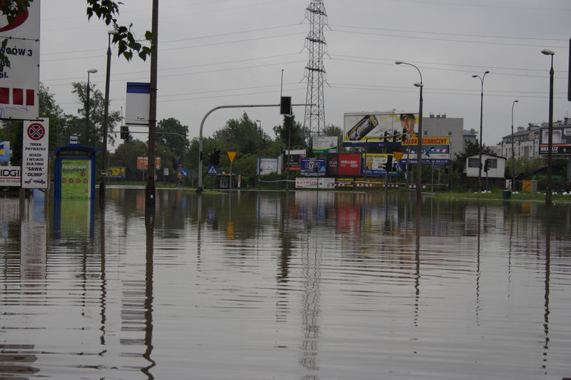 spis.php?category_id=432