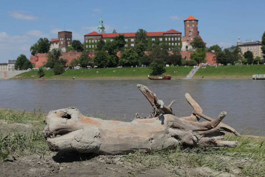 spis.php?category_id=433