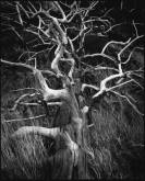 photo.php?category_id=192&file_id=3452&fileBackPage=1&filesPage=18